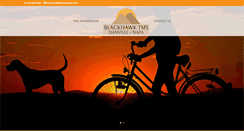 Desktop Screenshot of blackhawktms.com